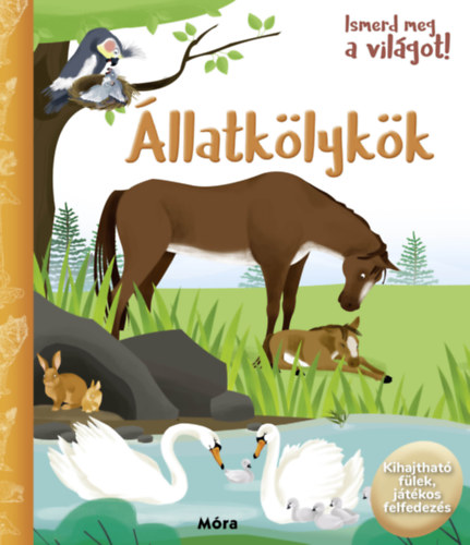 Ismerd meg a vilgot! - llatklykk