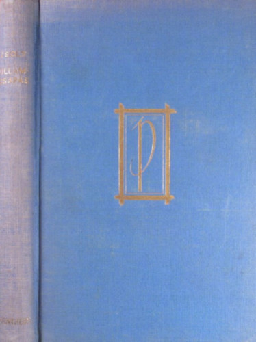 Zsolt B�la - Vill�mcsap�s