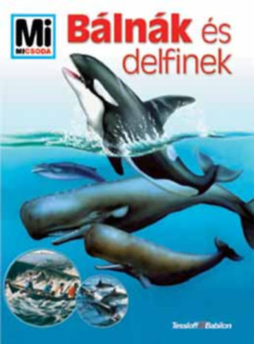 Blnk s delfinek (Mi micsoda) 1. ktet