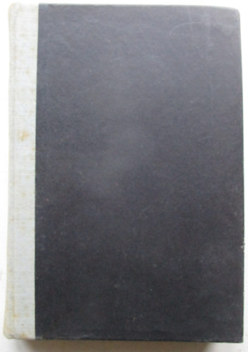 Verne Gyula - Várkastély a Kárpátokban