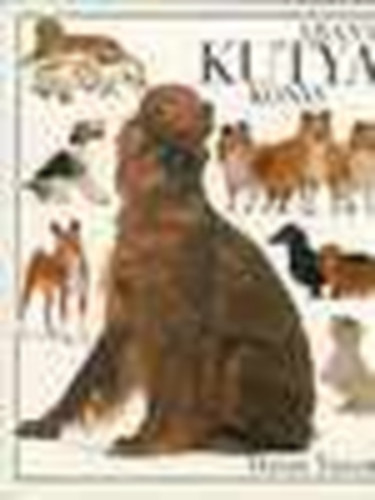 David Taylor - Arany kutyaknyv