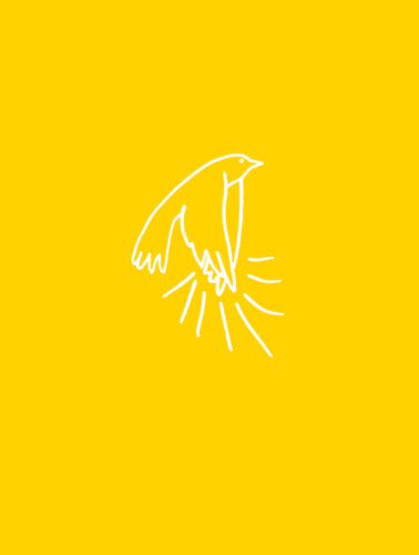 Kristóf Krisztián, Zalavári András Fusz Mátyás - A madarak tapsolnak, amikor felszállnak