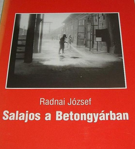 Radnai Jzsef - Salajos a betongyrban