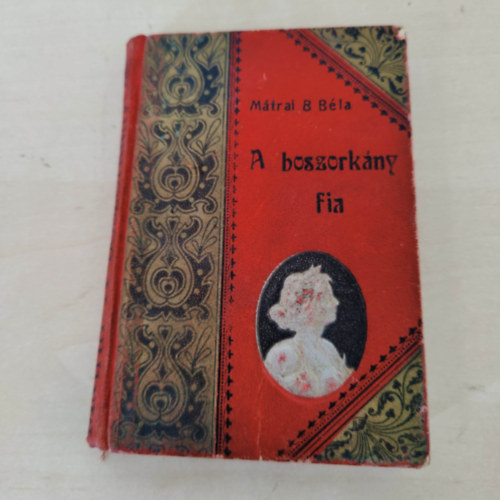 Mátrai B. Béla - A boszorkány fia