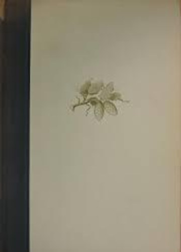 M. Prisvin - �sv�ny a rengetegben