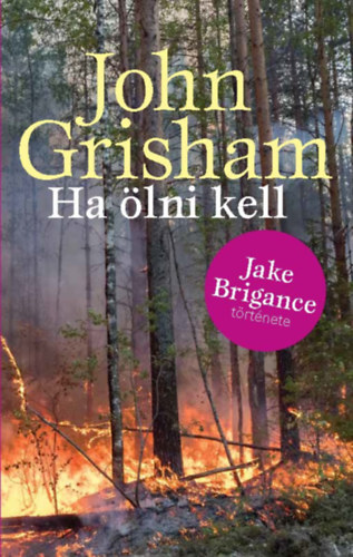 John Grisham - Ha �lni kell