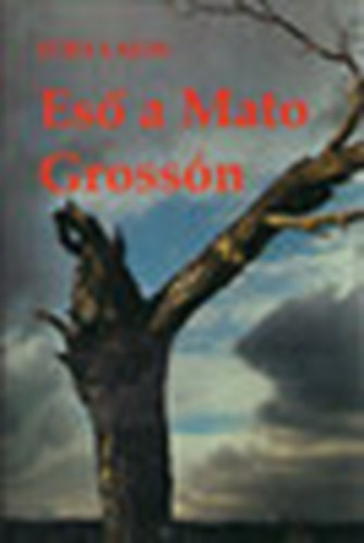 Füry Lajos - Eső a Mato Grossón