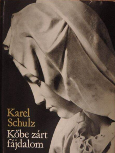 Karel Schulz - K�be z�rt f�jdalom /Michelangelo Buonarroti �letreg�nye/