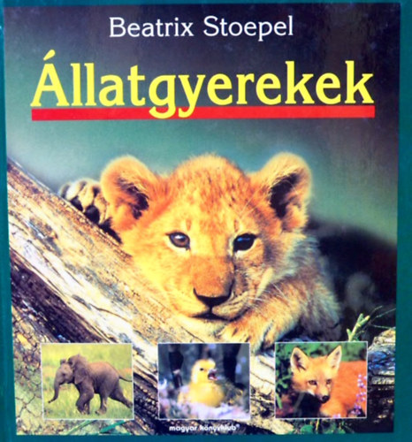 Beatrix Stoepel - llatgyerekek