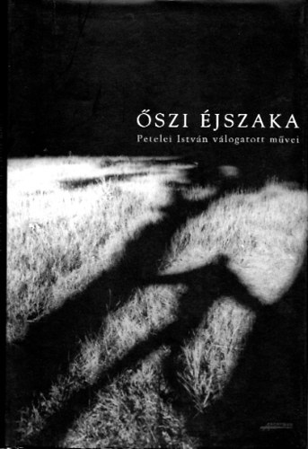 Petelei Istvn - szi jszaka