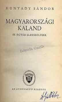 Hunyadi Sándor - Magyarországi kaland