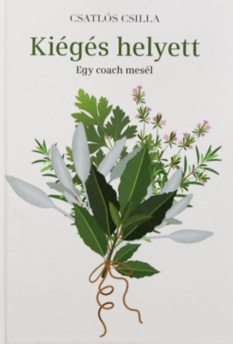 Csatl�s Csilla - Ki�g�s helyett - Egy coach mes�l