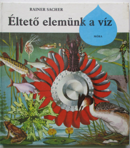 Rainer Sacher - �ltet� elem�nk a v�z
