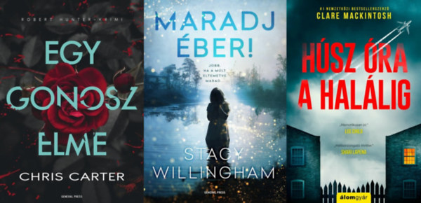 Chris Carter, Clare Mackintosh Stacy Willingham - 3 db krimi: Maradj éber! + Egy gonosz elme + Húsz óra a halálig