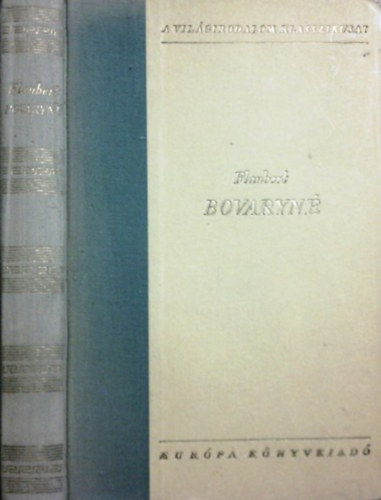 Gustave Flaubert - Bovaryné