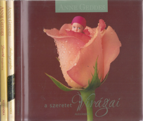 Anne Geddes - 3db Anne Geddes m�: Bar�tok mind�r�kre + T�nd�rsz�rnyakon + A szeretet vir�gai