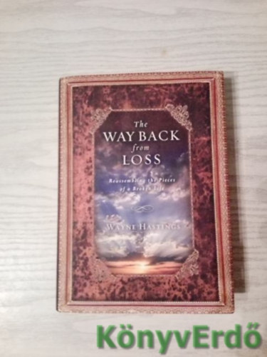 Wayne Hastings - The Way Back from Loss