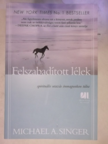 Michael A. Singer - Felszabadított lélek