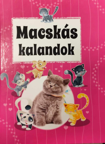 Macsks kalandok