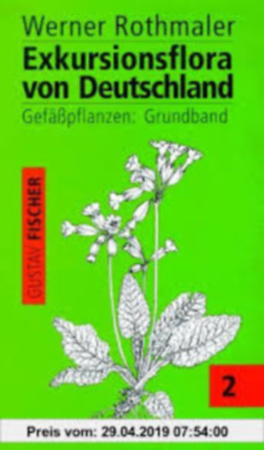 Exkursionsflora von Deutschland 2 - Rothmaler - Gefsspflanzen