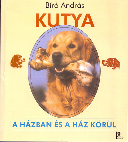Br Andrs - Kutya a hzban s a hz krl