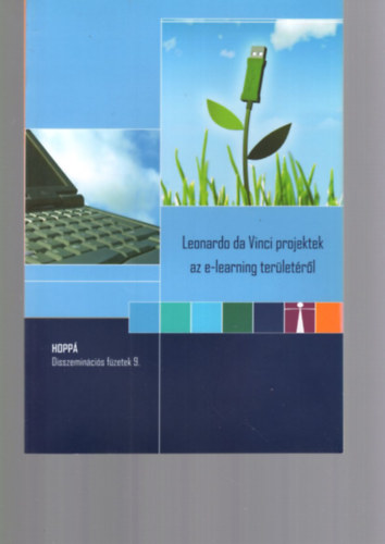 Hegyi Erzs�bet - Leonardo da Vinci projektek az e-learning ter�let�r�l