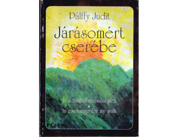 Pálffy Judit - Járásomért cserébe