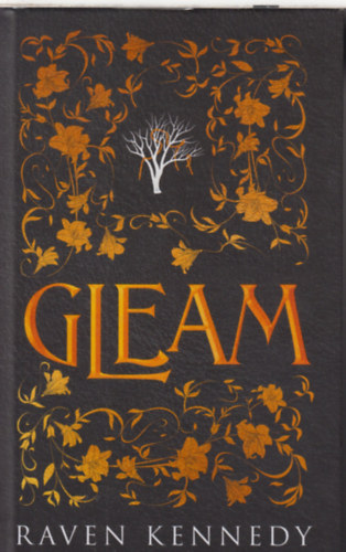 Raven Kennedy - Gleam