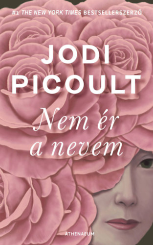 Jodi Picoult - Nem �r a nevem