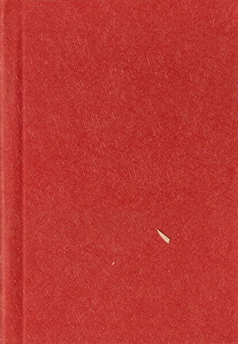 Polonyi Ferenc - Let�nt vil�gok romjain (utirajz)