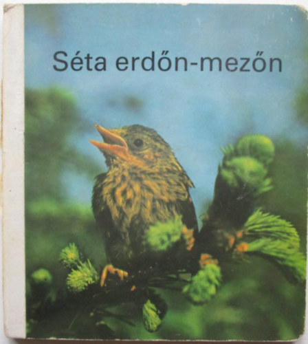 F. Kunz-szines fot�kat k�sz�tette - S�ta erd�n-mez�n