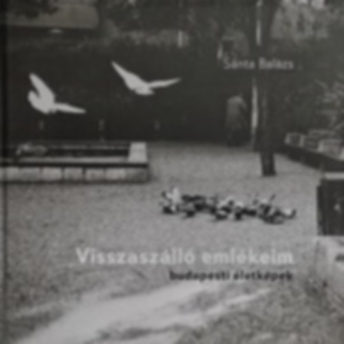 Sánta Balázs - Visszaszálló emlékeim budapesti életképek