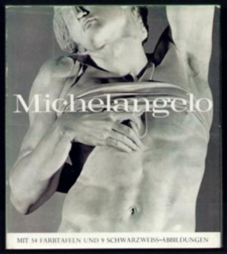 Michelangelo. Eingeleitet und erlutert von Nicholas Wadley.