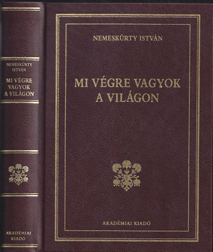 Nemeskürty István - Mi végre vagyok a világon?