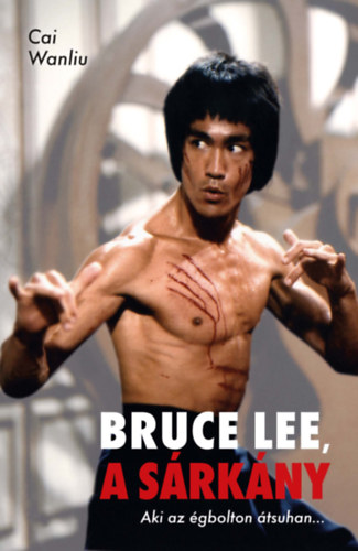 Cai Wanliu - Bruce Lee, a sárkány