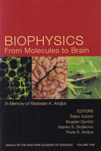 Biophysics From Molecules to Brain