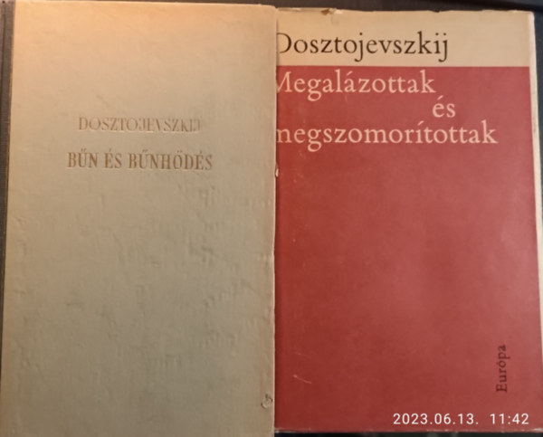 Fjodor Mihajlovics Dosztojevszkij - Fjodor Mihajlovics Dosztojevszkij reg�nyek - 2 k�tet