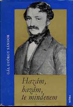 Gl Gyrgy Sndor - Hazm, hazm, te mindenem