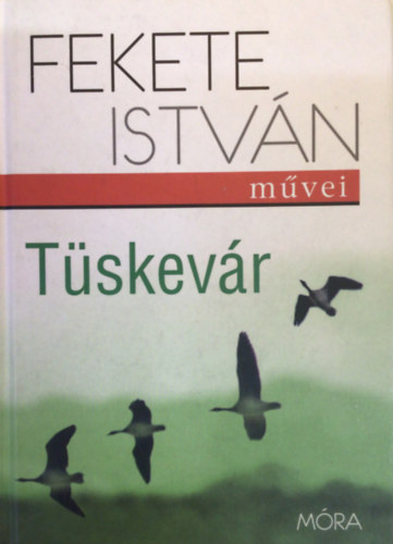 Fekete Istvn - Tskevr