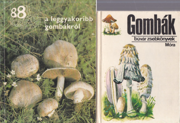 Dr. Kalmár-Huller Rimóczi Imre - 2 db gombás könyv: A leggyakoribb gombákról + Gombák (Búvár zsebkönyvek)