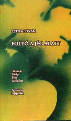 R�thy Istv�n - Foly� a j�g alatt