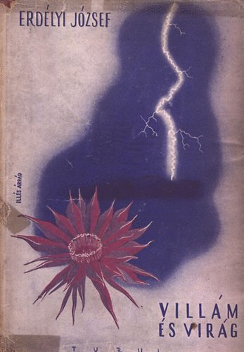 Erd�lyi J�zsef - Vill�m �s vir�g