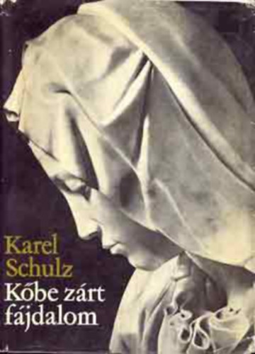 Karel Schulz - A kőbe zárt fájdalom (Michelangelo Buonarroti életregénye)