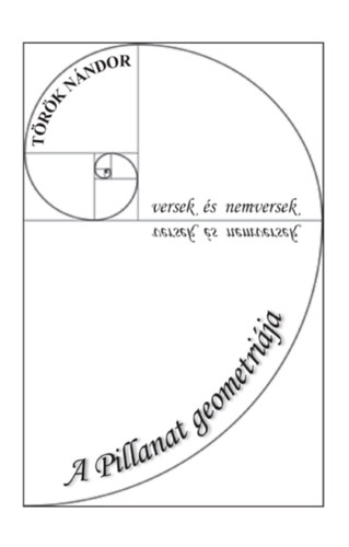 Trk Nndor - A Pillanat geometrija