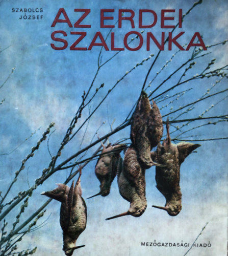 Szabolcs Jzsef - Az erdei szalonka