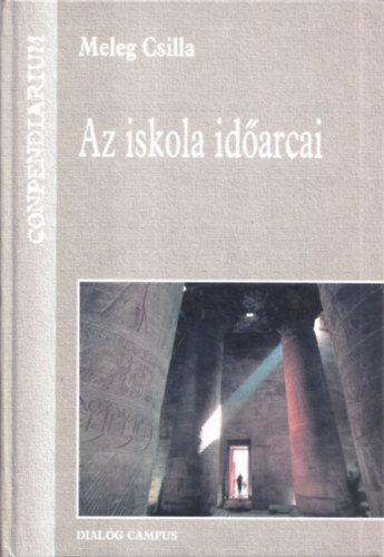 Meleg Csilla - Az iskola idarcai