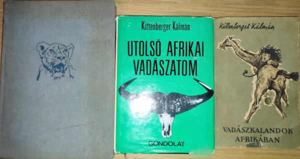 Kittenberger Klmn - 3db Kittenberger Klmn m - Kelet-Afrika vadonjaiban, Utols afrikai vadszatom, Vadszkalandok Afrikban