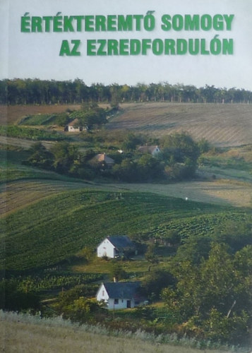 Ábelné Kotánszky Gyöngyi - Értékteremtő Somogy az ezredfordulón 1998-2002