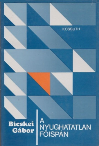 Bicskei Gábor - A nyughatatlan főispán (dokumentumregény Földi Istvánról)