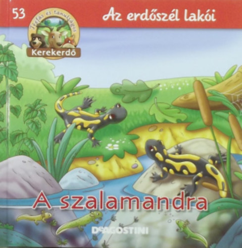 A szalamandra - Az erdőszél lakói (Kerekerdő)